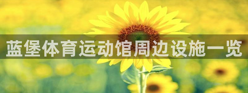 米兰体育官网下载是干嘛的公司:蓝堡体育运动馆周边设施一览