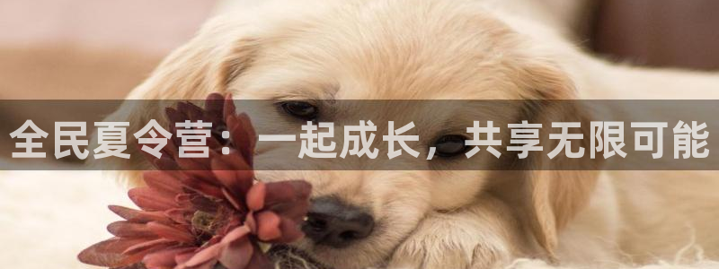 米兰体育官方正版app神州:全民夏令营:一起成长,共享无限可