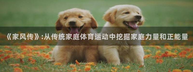 米兰体育官网下载平台是正规平台吗:《家风传》:从传统家庭体育